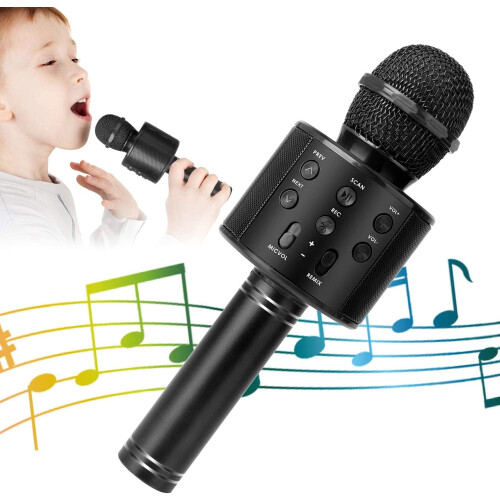 Bluetooth Karaoke Microphone Portable Speaker with Recorder