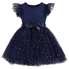 Girls Navy Star Dress with Sparkly Sequins and Flutter