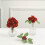 Rosas artificiais de espuma cor terracota, 2 polegadas, 24 hastes 6