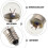Mini electrical bulbs screw base 12 pcs 3