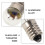 Miniature Electrical Bulbs Screw Base 12pcs 3