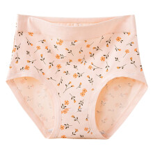 Women's High Waist Cotton Full Coverage Floral Briefs
