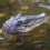 Floating Water Decoy Garden Pond Decor 1 Piece 4