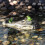 Floating Water Decoy Garden Pond Decor 1 Piece 5