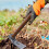 Forged Grub Hoe Adze Mattock Digging Tool 6.3 Inch 8