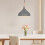 Industrial Pendant Light Fixture Metal Adjustable 1 Pack 2
