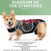 Órtese de suporte espinhal para cães, para recuperação pós-operatória e hérnia de disco.