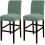 Fundas elásticas para taburetes de bar con respaldo Back2Pack Verde 1