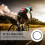 Fahrradbremszug Universal Langlebig 2 Stück 6