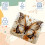 Antislip muismat van rubber met vlinderdesign (1 stuk) 7