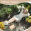 Pantofole da donna morbide a punta aperta con memory foam e peluche 7