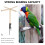 Chicken perch for coop roosting 68x42x42 cm 3