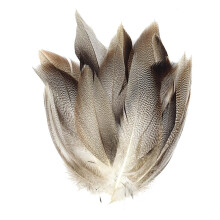 Feathers for DIY Crafts 50 Pieces