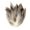 Feathers for DIY Crafts 50 Pieces 1