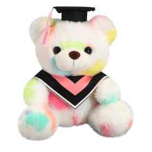Graduation Bear Class of 2024 White Plush Bear 9 inch