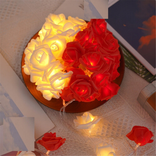 LED-rozenlichtslinger wit blauw 3m20Lamp USB-voeding 2