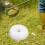 Witte nylon trimmerdraad 0,085 inch x 420 voet 8