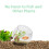 Acvariu de birou FRCOLOR din plastic transparent, 8,5 8