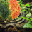 Grönvin för reptilakvarium 30 cm 3 delar 6