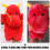 Drachen-Handpuppe Plüschtier für Kinder und Eltern Rot 6