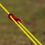 Sátorkötél fényvisszaverő 4 mm 13 láb 2