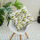 Patterned Indoor Outdoor Chair Cushions Set 1