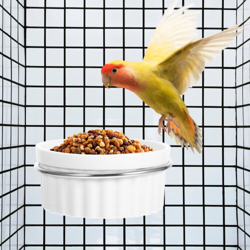 OUNONA Gamelle suspendue pour petits oiseaux 1