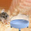 Hamster Sand Bath Box for Small Animals Blue 7