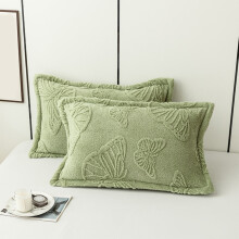 2-Pack 29x19in Double-Sided Milk Velvet Pillow Covers, Thickened Soft Warm Winter Pillowcases with Envelope Closure, for Bed/Sofa