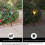 Ensemble de lampes solaires d'extérieur LED étanches pour jardin 6