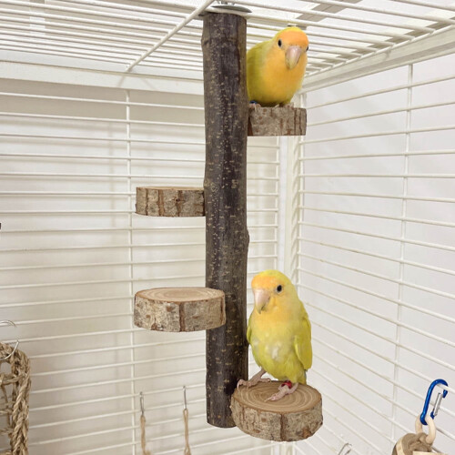 Wooden Parrot Perch Stand for Bird Cage