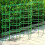 60pcs Stackable Garden Support Rings - Durable Plastic, 10-Layer Flower & Climbing Stakes for Lawn Care 1