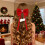 Βελούδινα κλιπ μαλλιών με φιόγκο, κόκκινα βελούδινα κοψίματα πάπιας, συσκευασία 2 5