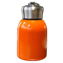 280ML Portable Stainless Steel Insulated Water Bottle, Keep Drinks Hot or Cold