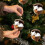 Forest Animal Acorn Ornaments for Christmas Tree – White 6