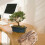 Artificial Landscape Rocks Foam Boulder Covers Natural 2