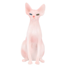 Hairless Cat Toy Angel Plush for Small Dogs and Children
