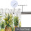 Yellow Pineapple Kitchen Valance Curtains Tropical Fruit 5