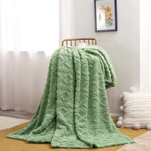 Blanket Fuzzy Soft Twin 80x40 Green