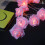 „Marry Me Rose“-Lichterkette, 3 m, 20 LEDs, Rot/Weiß 5