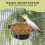 Stainless Steel Bird Feeding Dish with Clamp Holder for 4