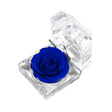 Red Rose in Acrylic Jewelry Box – Preserved Gift