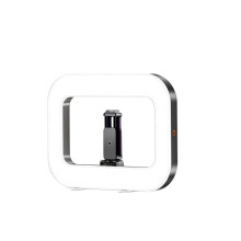 Smartphone video rig with LED ring light and built-in