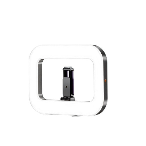 Smartphone video rig with LED ring light and built-in