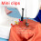 Sewing Clips Fabric Quilting Assistant 40pcs 4