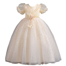 Girls' champagne princess gown embroidered bodice puff