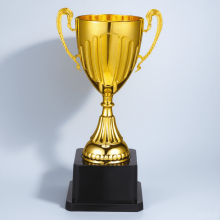 Golden Plastic Trophy Award for Classroom and Corporate Use