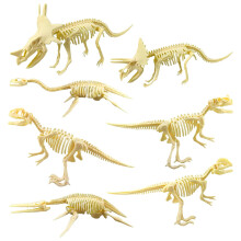 Realistische dinosaurusskeletten, 7-delig, educatief cadeau