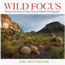 Wild Focus