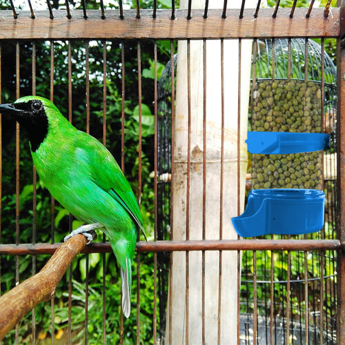 Automatic Bird Feeder and Water Dispenser Plastic Clip for 1